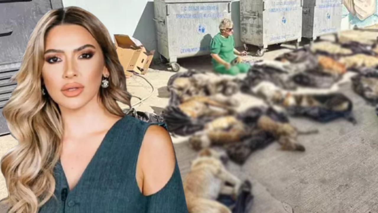 Hadise'den Skandal Hayvan Katliamına Çarpıcı Yanıt: 'Ateşle Oynuyorlar!'