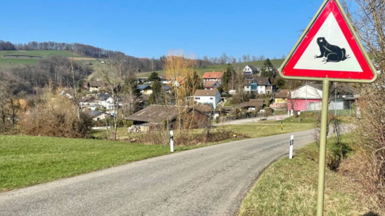 Şaşırtıcı Yeni Trafik İşaretleri: Herkesin Dikkatini Çekiyor!